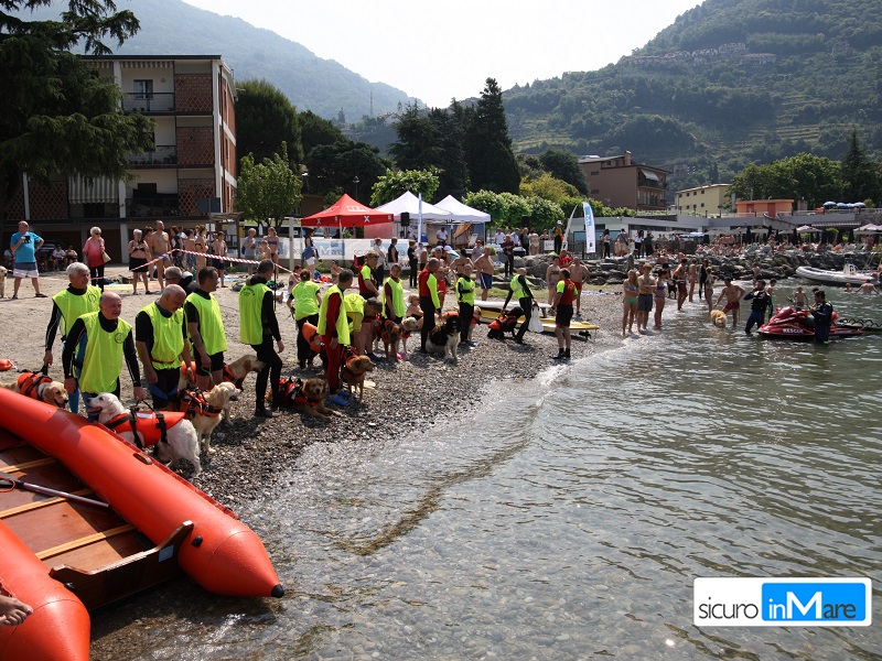 Tuffo a Quattro Zampe 2017